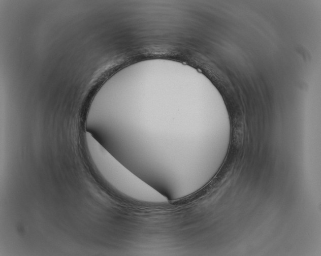 X0000113360207200910061047