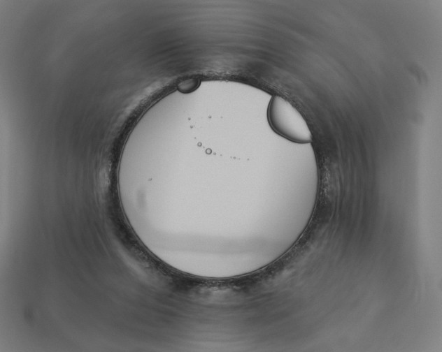 X0000113360208200910061047