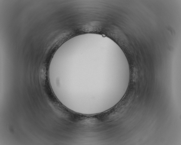 X0000113360210200910061047