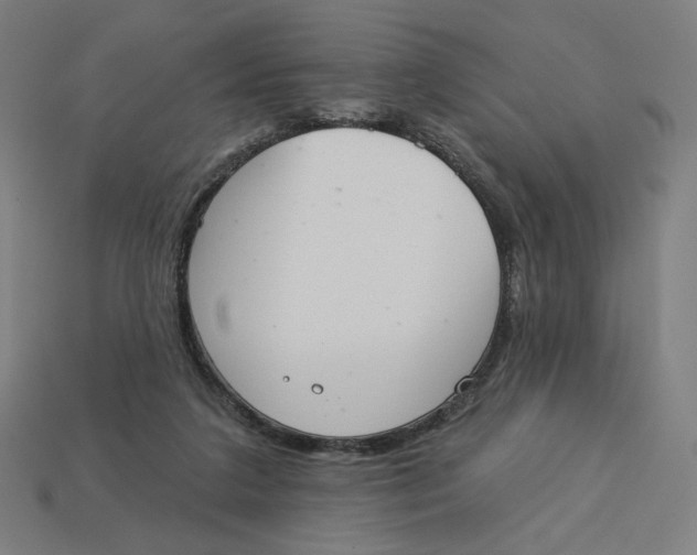 X0000113360211200910061047