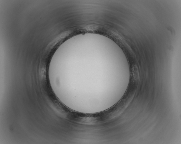 X0000113360212200910061047