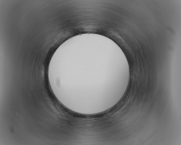 X0000113360213200910061046