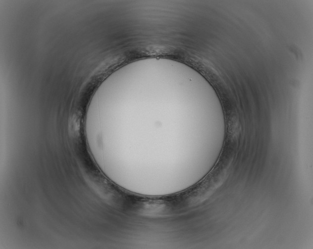 X0000113360214200910061046