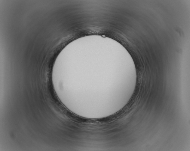 X0000113360215200910061046