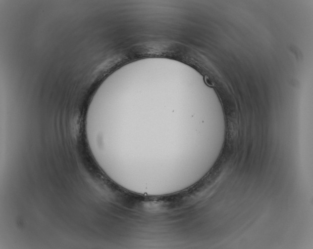 X0000113360216200910061046