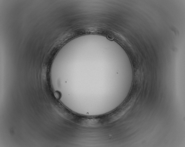 X0000113360217200910061046