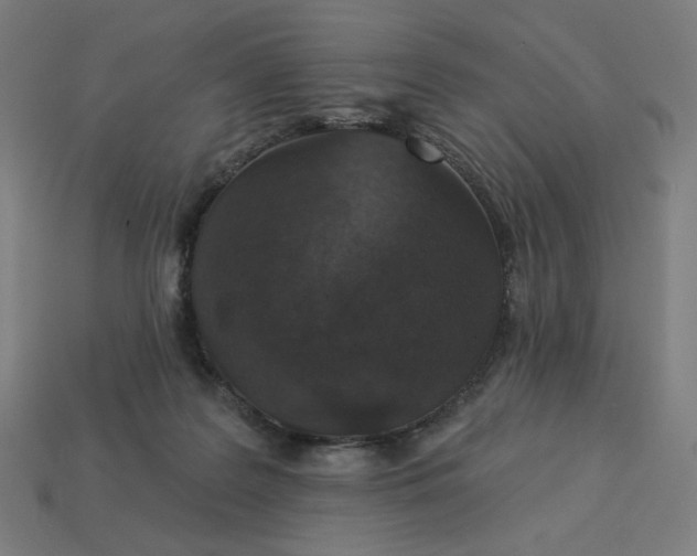 X0000113360219200910061046