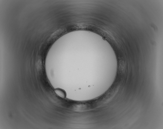 X0000113360220200910061046