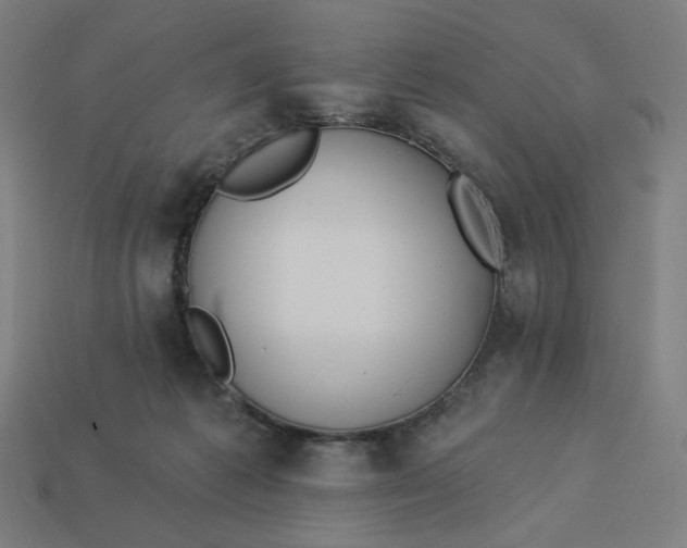 X0000113360221200910061046