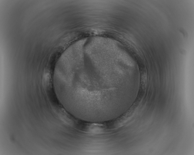 X0000113360222200910061046