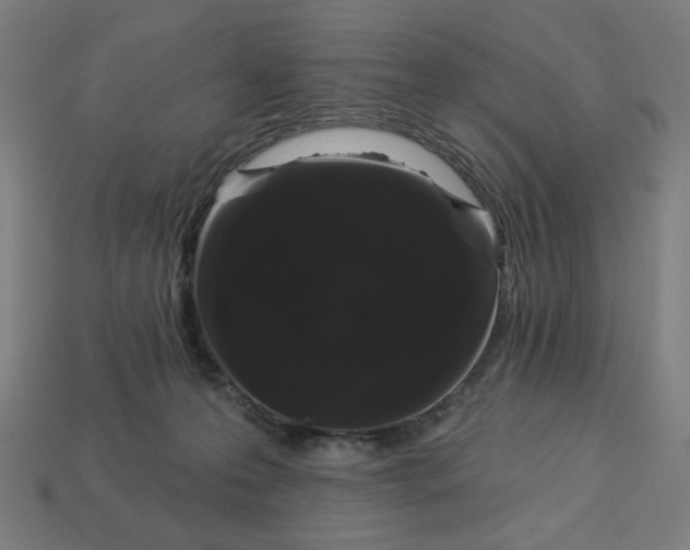 X0000113360223200910061046