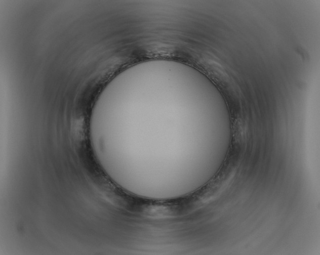 X0000113360224200910061046