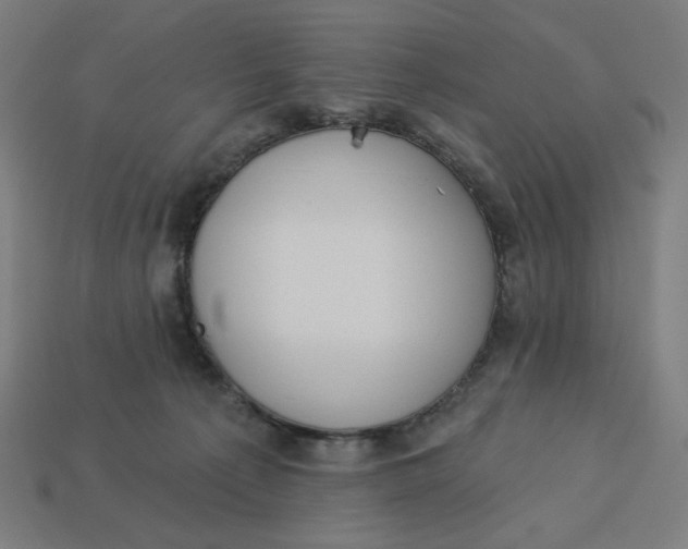 X0000113360225200910061046