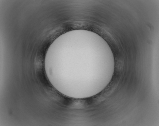 X0000113360226200910061046