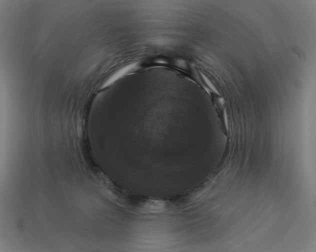 X0000113360227200910061046