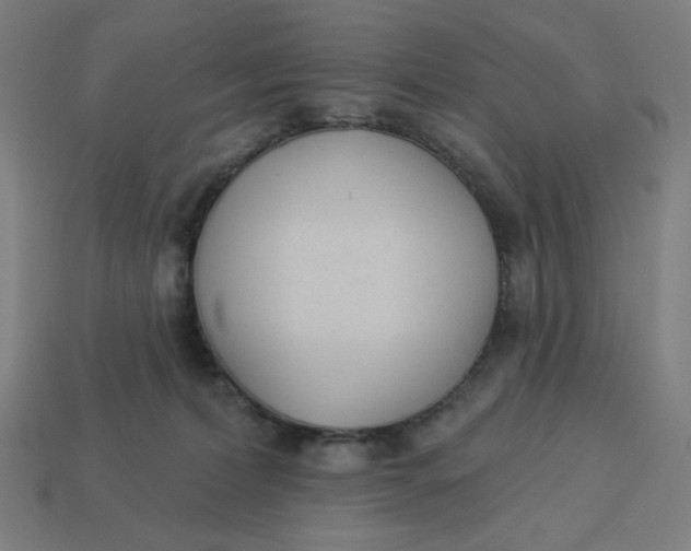 X0000113360228200910061046