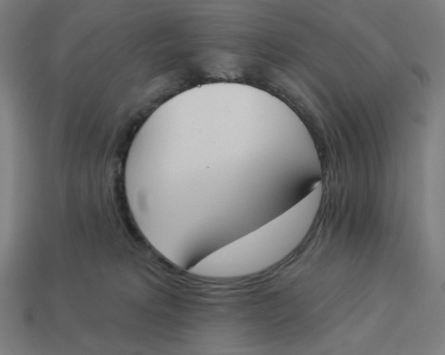 X0000113360229200910061046