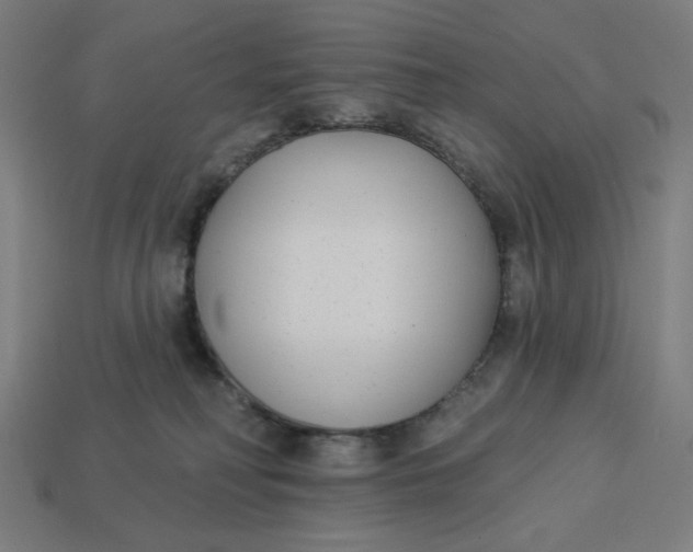 X0000113360230200910061046