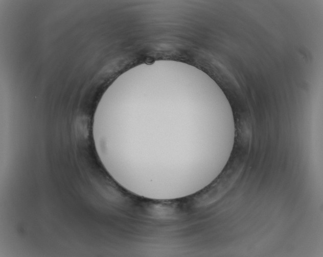 X0000113360232200910061046