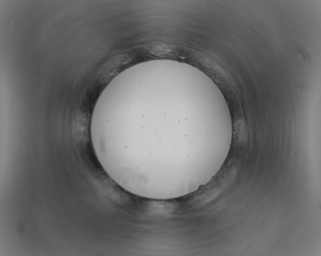 X0000113360234200910061046