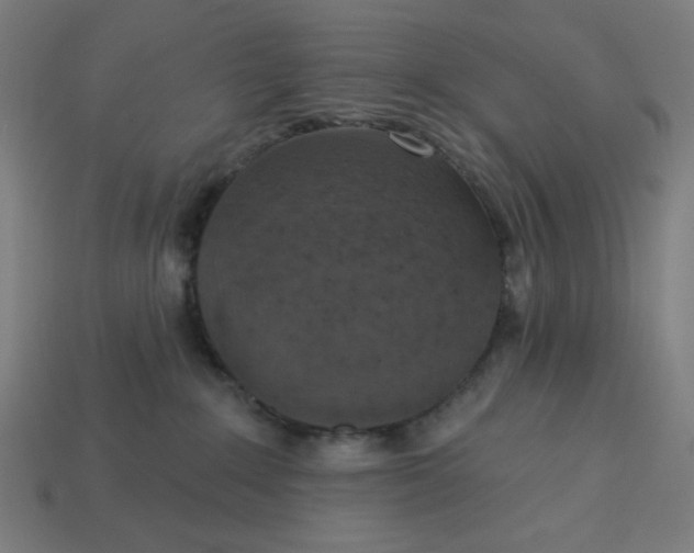 X0000113360235200910061046