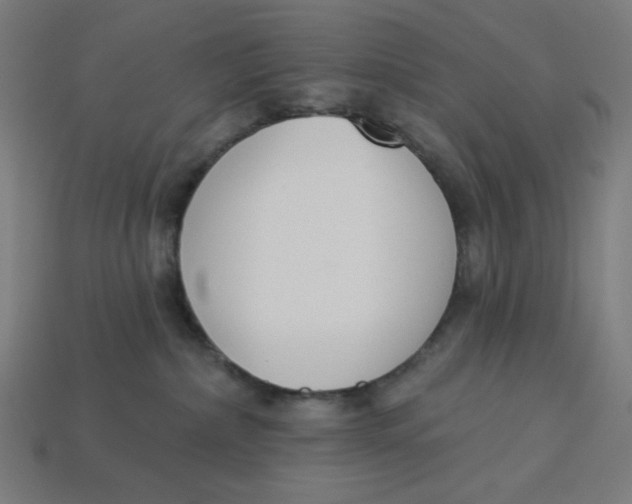 X0000113360236200910061046