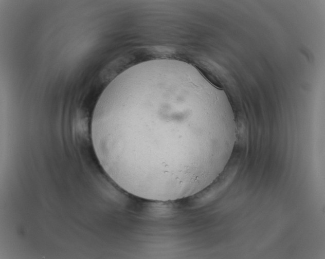 X0000113360238200910061046