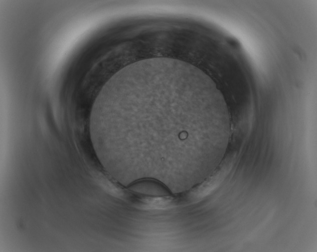 X0000113360239200910061046