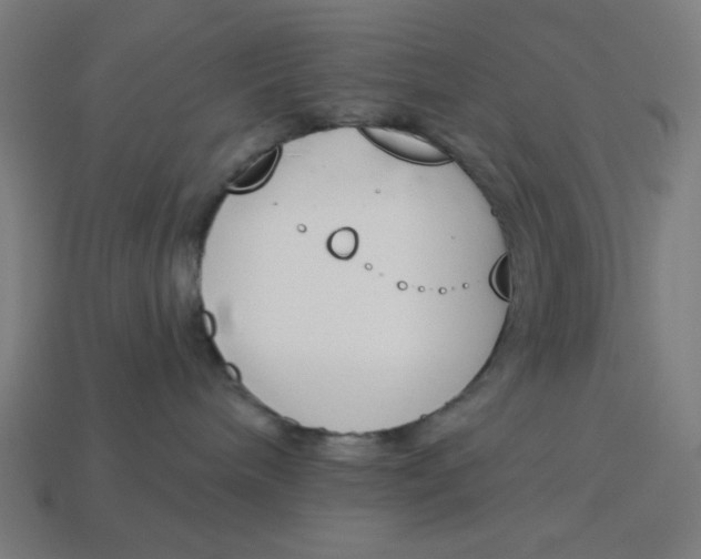 X0000113360240200910061046