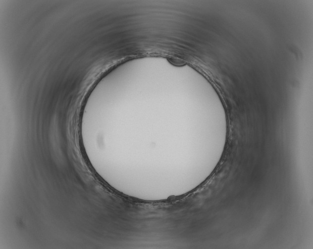 X0000113360241200910061046