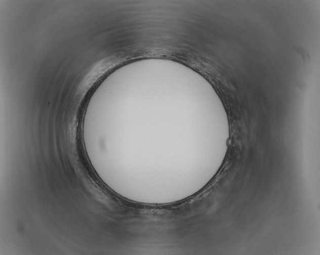 X0000113360242200910061046