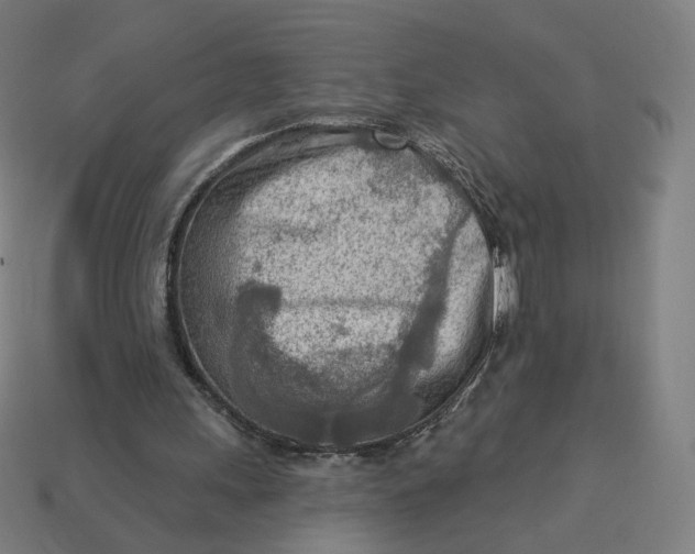 X0000113360243200910061046