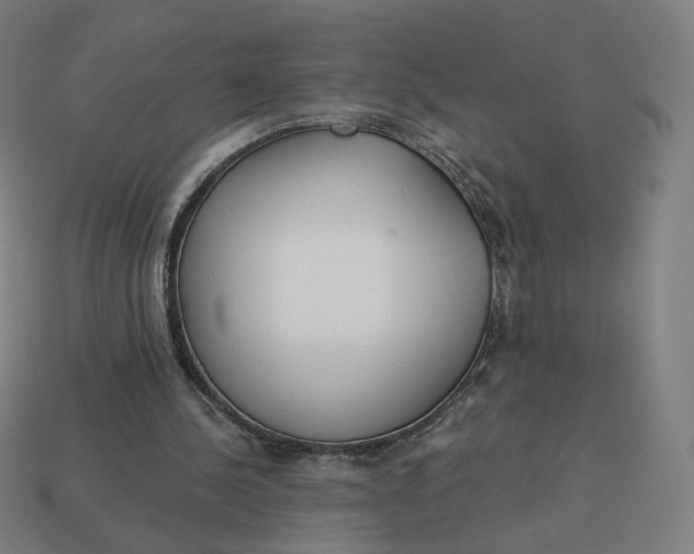 X0000113360244200910061046