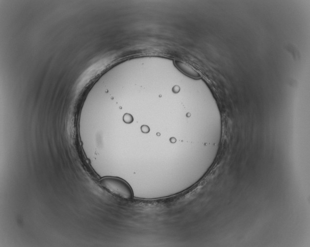 X0000113360245200910061046