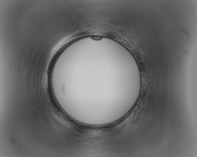 X0000113360246200910061046