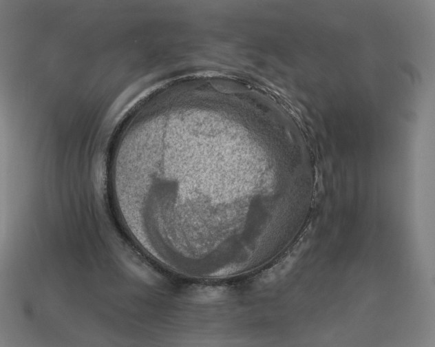 X0000113360247200910061046