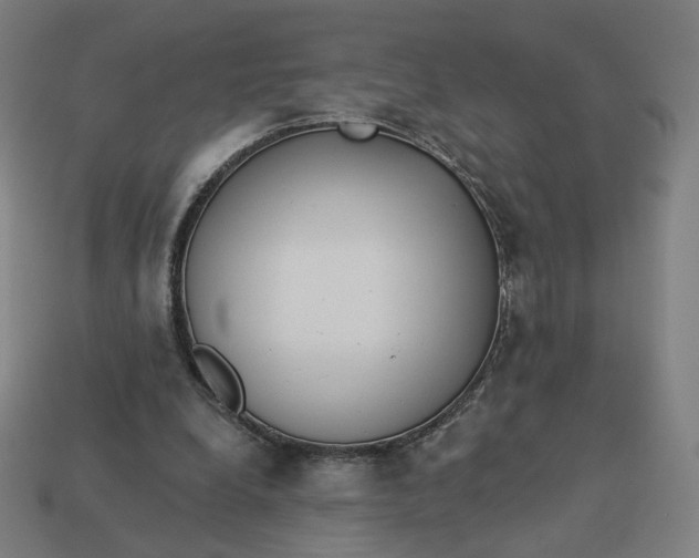 X0000113360248200910061046