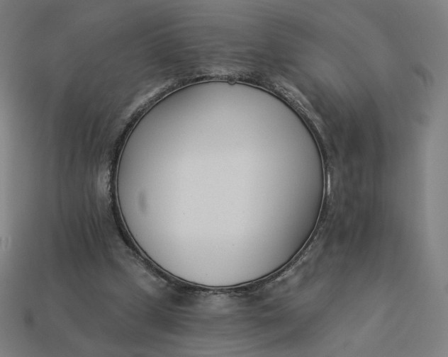 X0000113360249200910061046