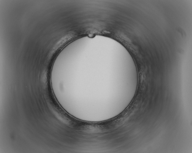 X0000113360250200910061046