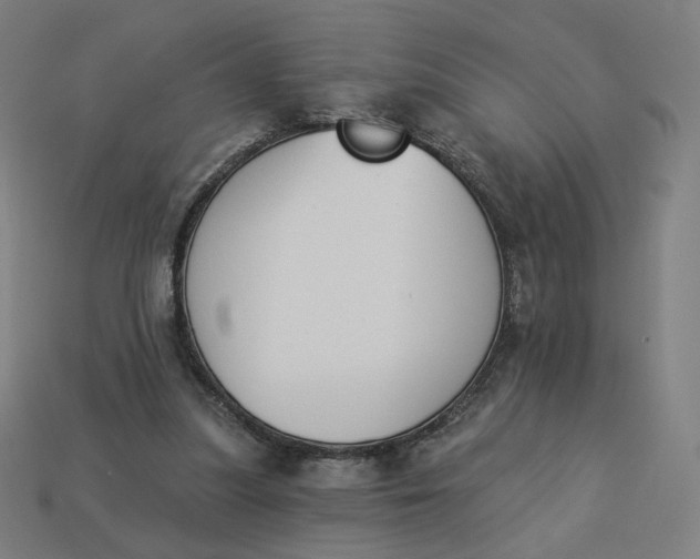 X0000113360251200910061046