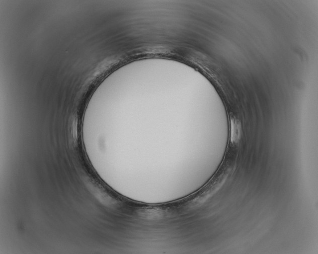 X0000113360253200910061046