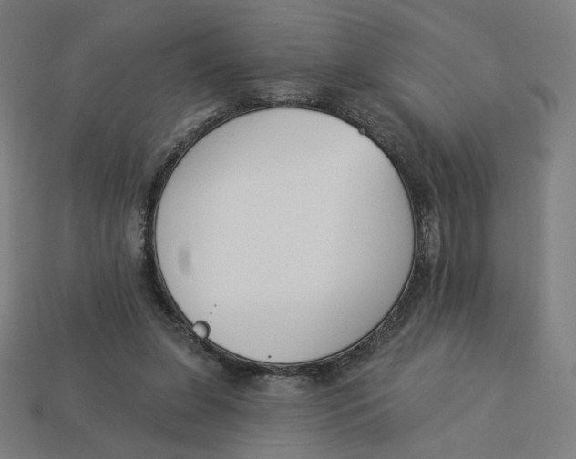 X0000113360255200910061046