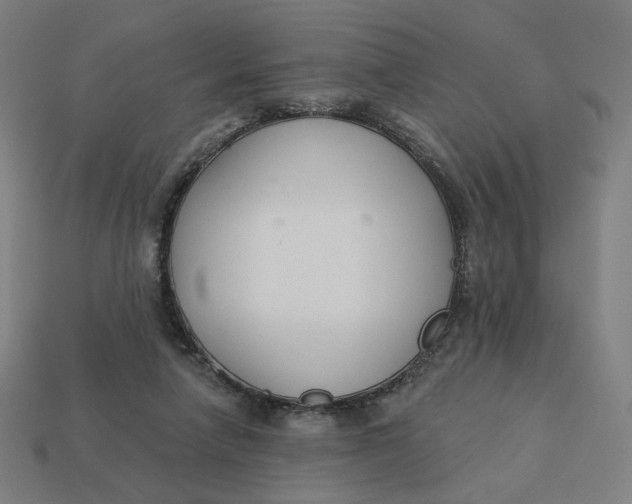 X0000113360258200910061046