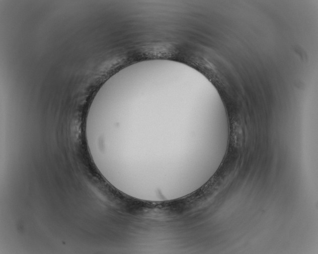 X0000113360259200910061046