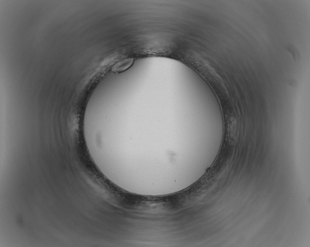 X0000113360260200910061046