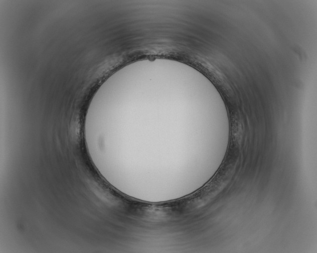 X0000113360261200910061046