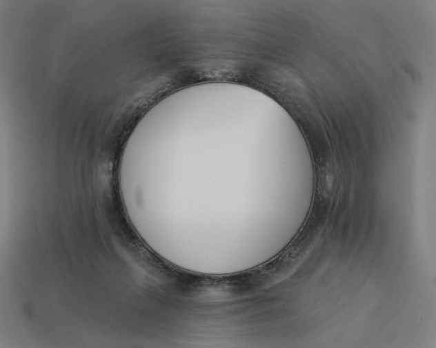 X0000113360263200910061046