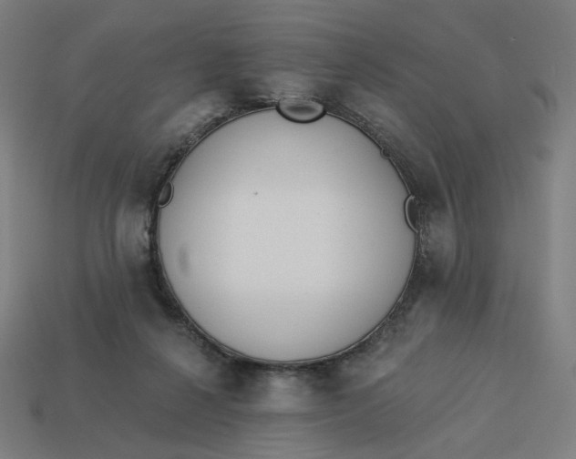 X0000113360264200910061046