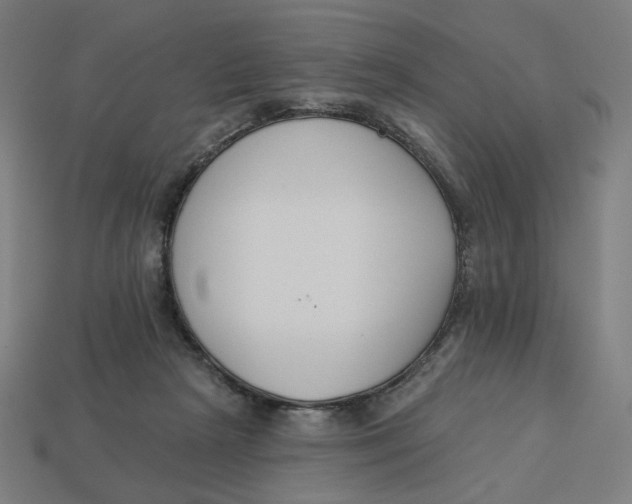 X0000113360265200910061046