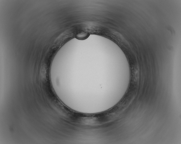 X0000113360266200910061046